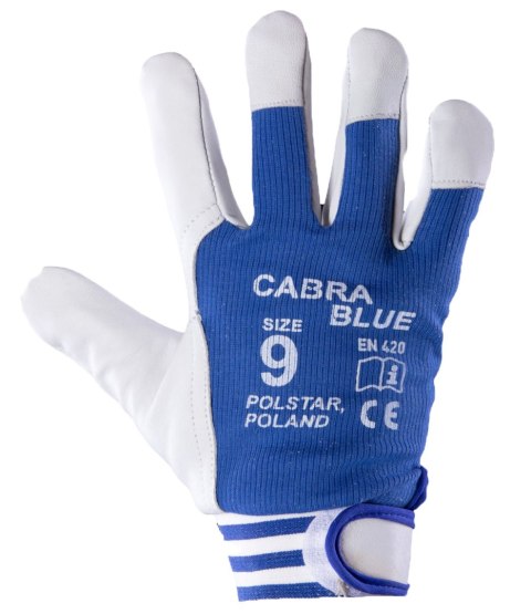 CABRA BLUE - Niebieski 8 CABRA BLUE - Niebieski 8