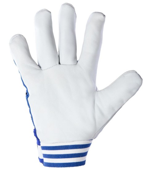 CABRA BLUE - Niebieski 8 CABRA BLUE - Niebieski 8