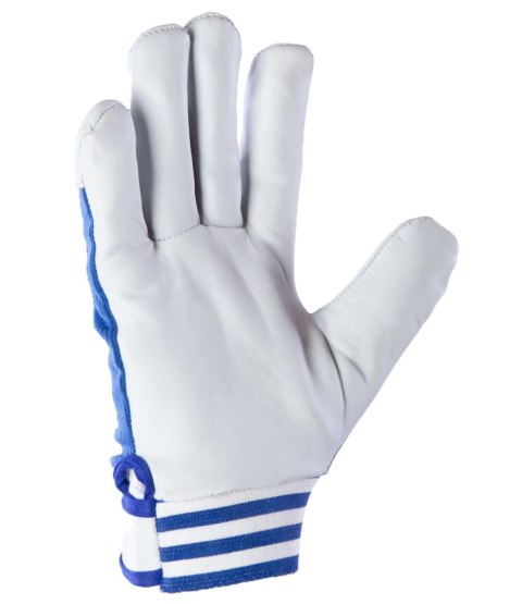 CABRA BLUE - Niebieski 8 CABRA BLUE - Niebieski 8